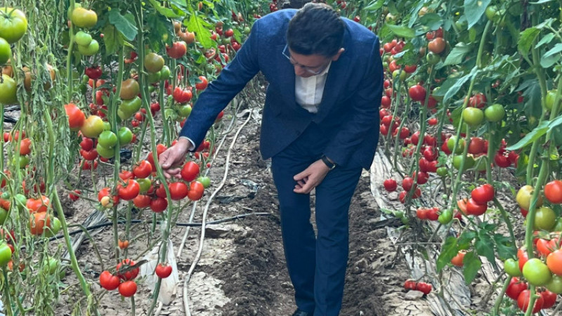 Atay Uslu : Afet bölgesindeki çiftçilerimizin zararlarını telafi edeceğiz